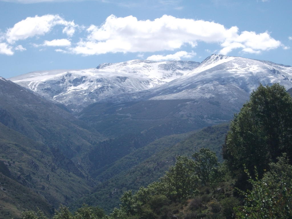 Apartamentos Sierra Nevada Welcome Rom bilde